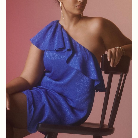 Stunning Royal Blue Animal Print Fancied Frock - Picture 5 of 14